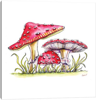 Storybook Mushrooms Canvas Art Print - Charlie O'Shields