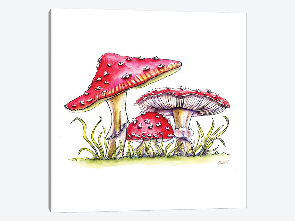 Storybook Mushrooms by Charlie O'Shields 1-piece Art Print