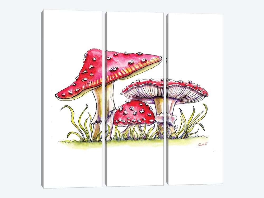 Storybook Mushrooms by Charlie O'Shields 3-piece Art Print