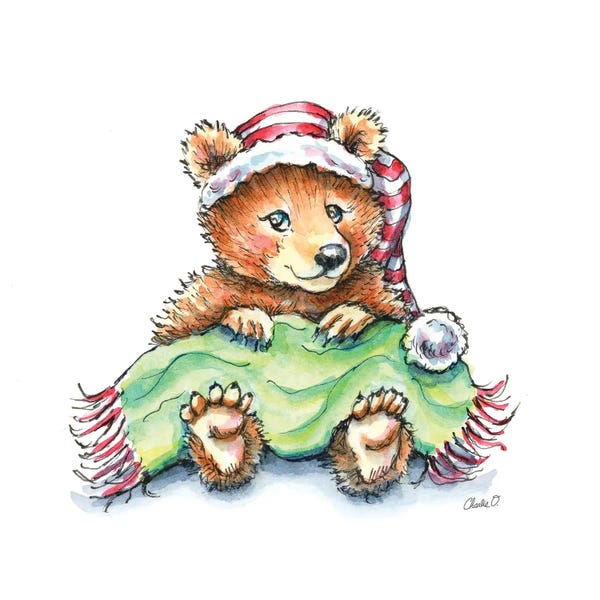 Brown Bears: The Joys Of Hibernating by Charlie O'Shields