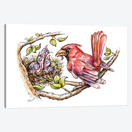 Tiny Baby Birds Canvas Print #COI80} by Charlie O'Shields Canvas Art