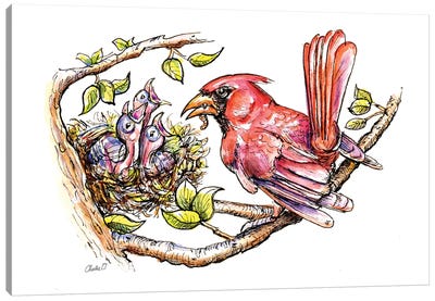 Tiny Baby Birds Canvas Art Print - Charlie O'Shields