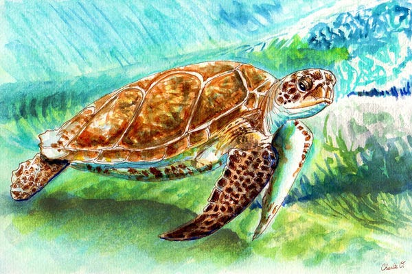 Turtles: Under The Waves by Charlie O'Shields