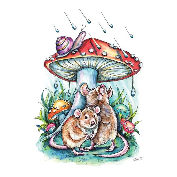 Snails: Waiting For The Storm by Charlie O'Shields