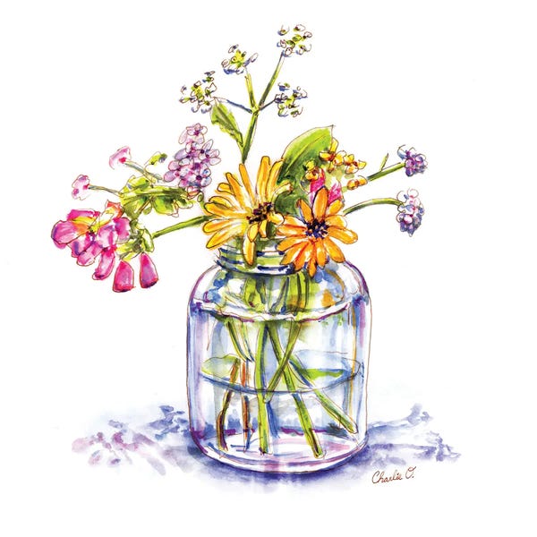 Wildflowers: Where The Wild Flowers Grow by Charlie O'Shields