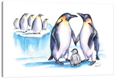 Away From The Crowd Canvas Art Print - Penguin Art