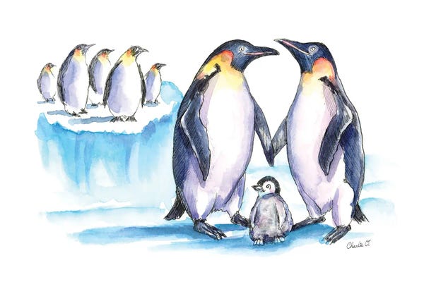 Penguins: Away From The Crowd by Charlie O'Shields