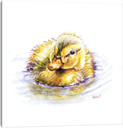 Baby Duck Dreams Canvas Art Print - Charlie O'Shields