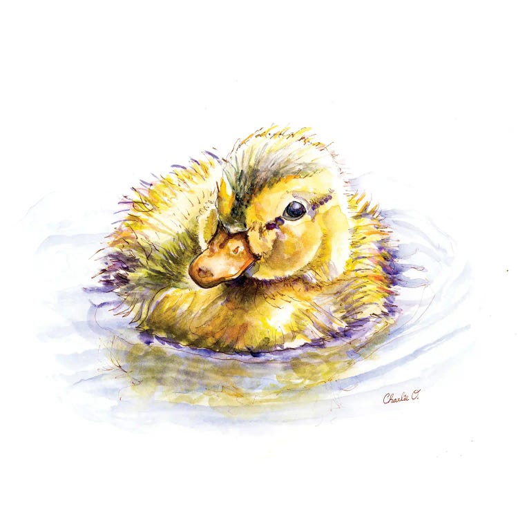 Baby Duck Dreams