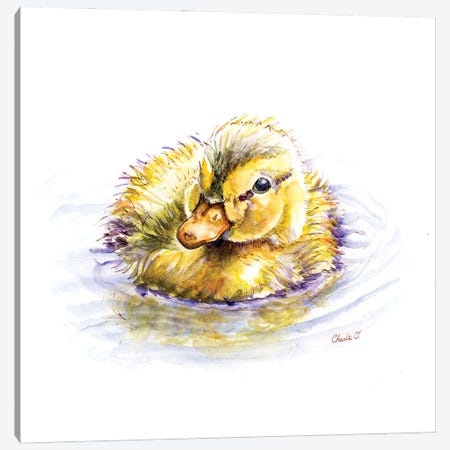 Baby Duck Dreams Canvas Print #COI9} by Charlie O'Shields Canvas Print