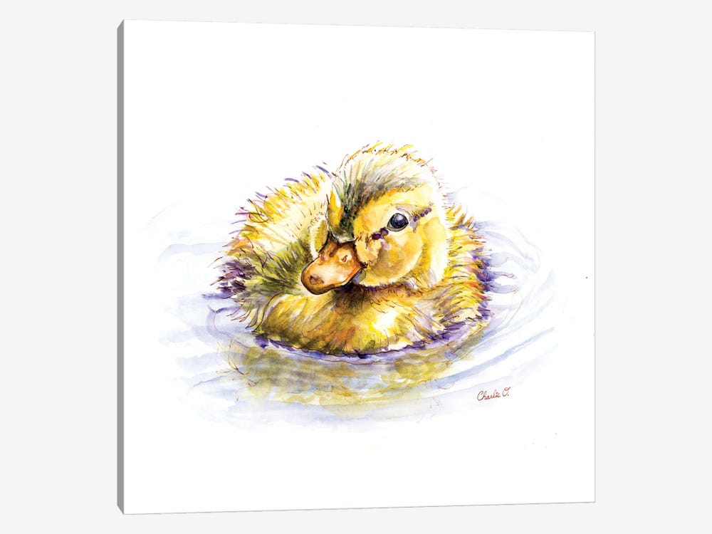 Baby Duck Dreams by Charlie O'Shields 1-piece Canvas Print