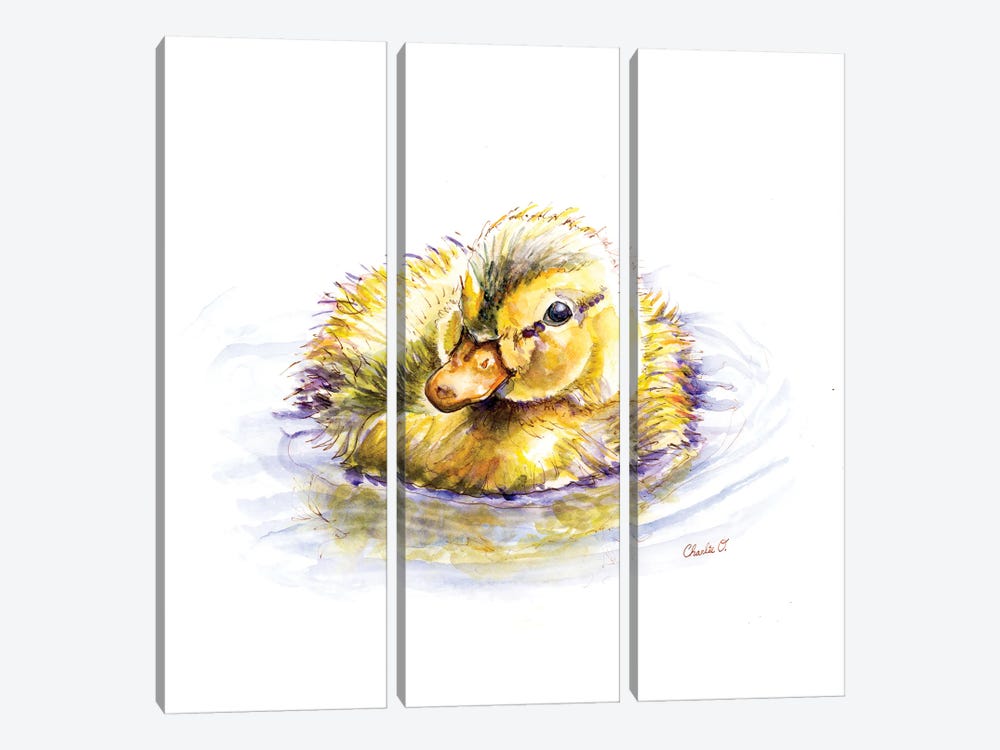 Baby Duck Dreams by Charlie O'Shields 3-piece Art Print