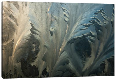 Frost Crystal Patterns On Glass, Ross Sea, Antarctica I Canvas Art Print - Colin Monteath