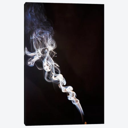 Incense Smoke Rising, New Zealand Canvas Print #COL21} by Colin Monteath Canvas Art Print