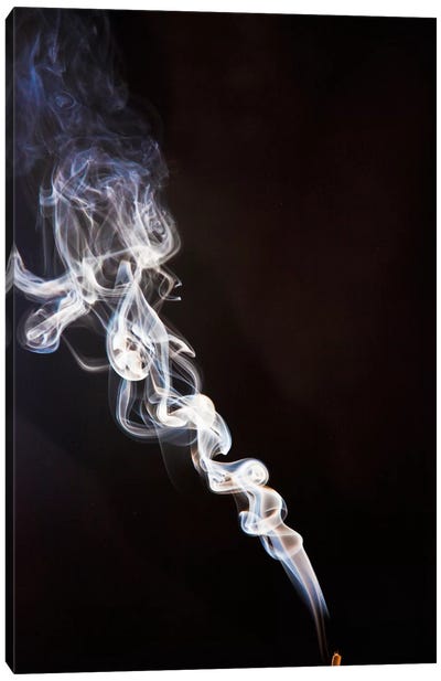 Incense Smoke Rising, New Zealand Canvas Art Print - 420 Collection