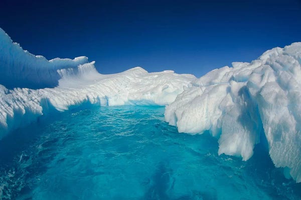 Antarctica: Sculpted Iceberg, Terre Adelie Land, East Antarctica by Colin Monteath