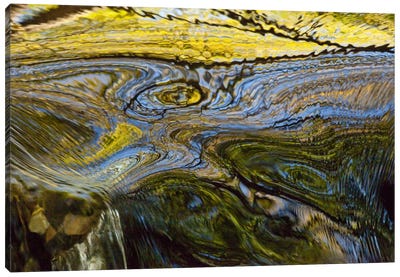 Autumn Patterns In Small Waterfall, Canterbury, New Zealand Canvas Art Print - Colin Monteath