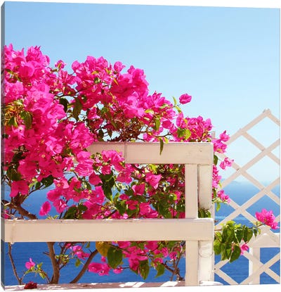 Santorini Blooms Canvas Art Print - Sylvia Coomes