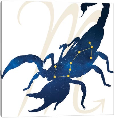 Stars of Scorpio Canvas Art Print - Scorpion Art