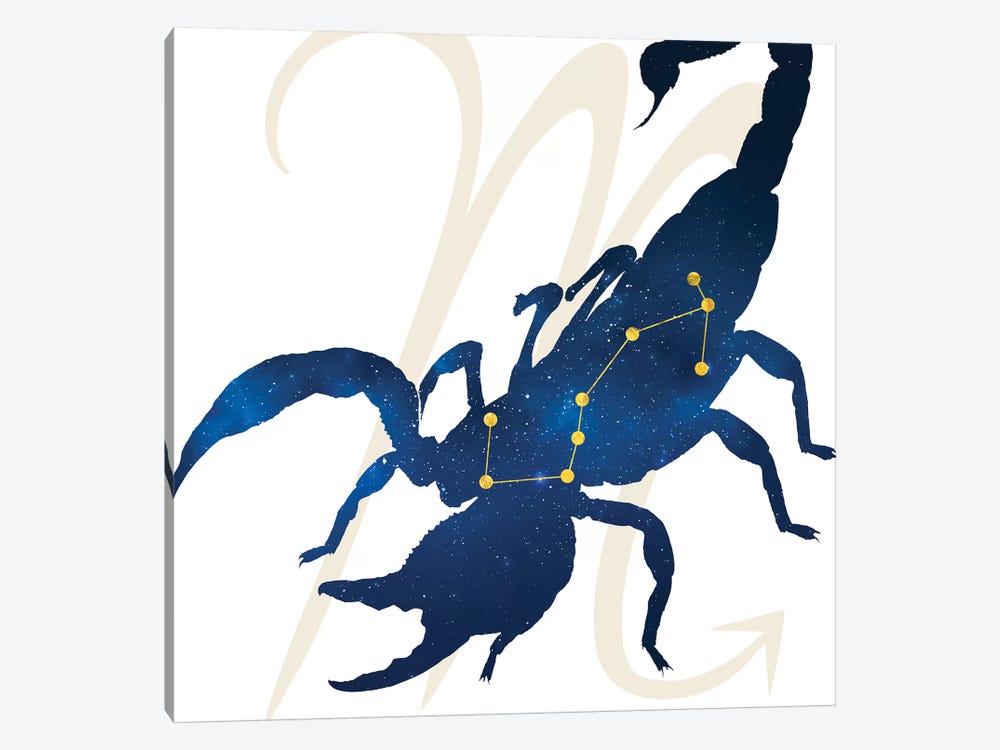 Stars of Scorpio by 5by5collective 1-piece Canvas Wall Art