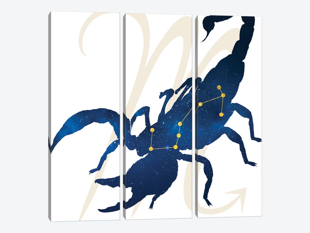 Stars of Scorpio by 5by5collective 3-piece Canvas Wall Art