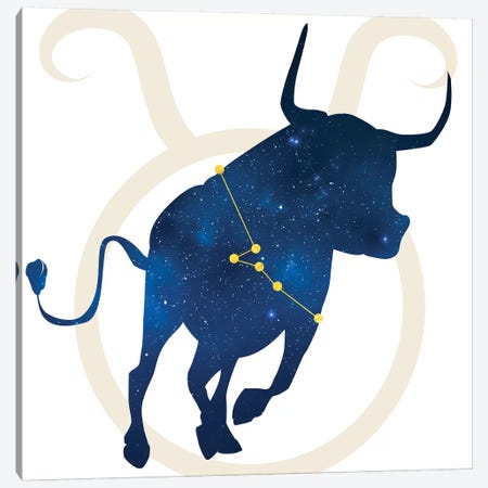 Stars of Taurus Canvas Print #COS11} by 5by5collective Canvas Art Print