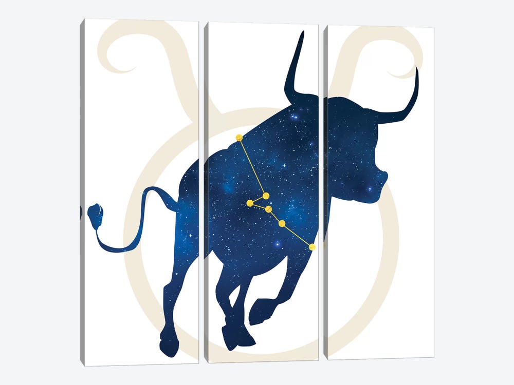 Stars of Taurus by 5by5collective 3-piece Canvas Print