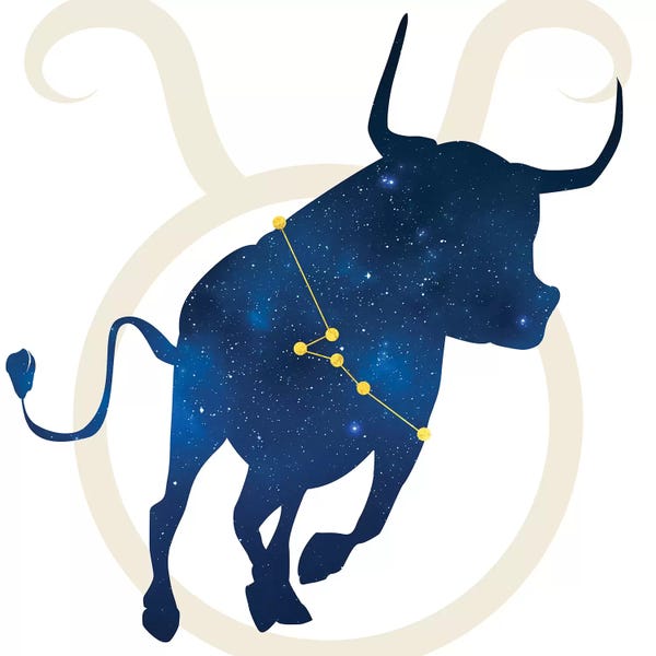 Bulls: Stars of Taurus by 5by5collective