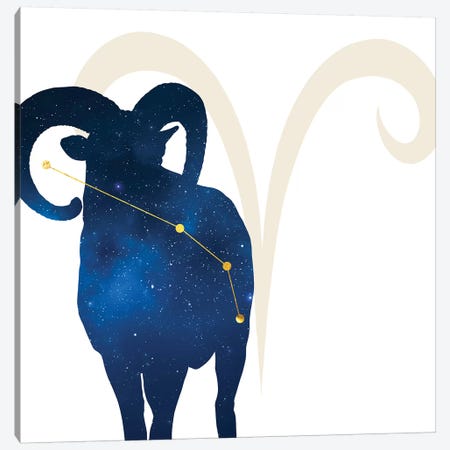 Stars of Aries Canvas Print #COS2} by 5by5collective Canvas Wall Art