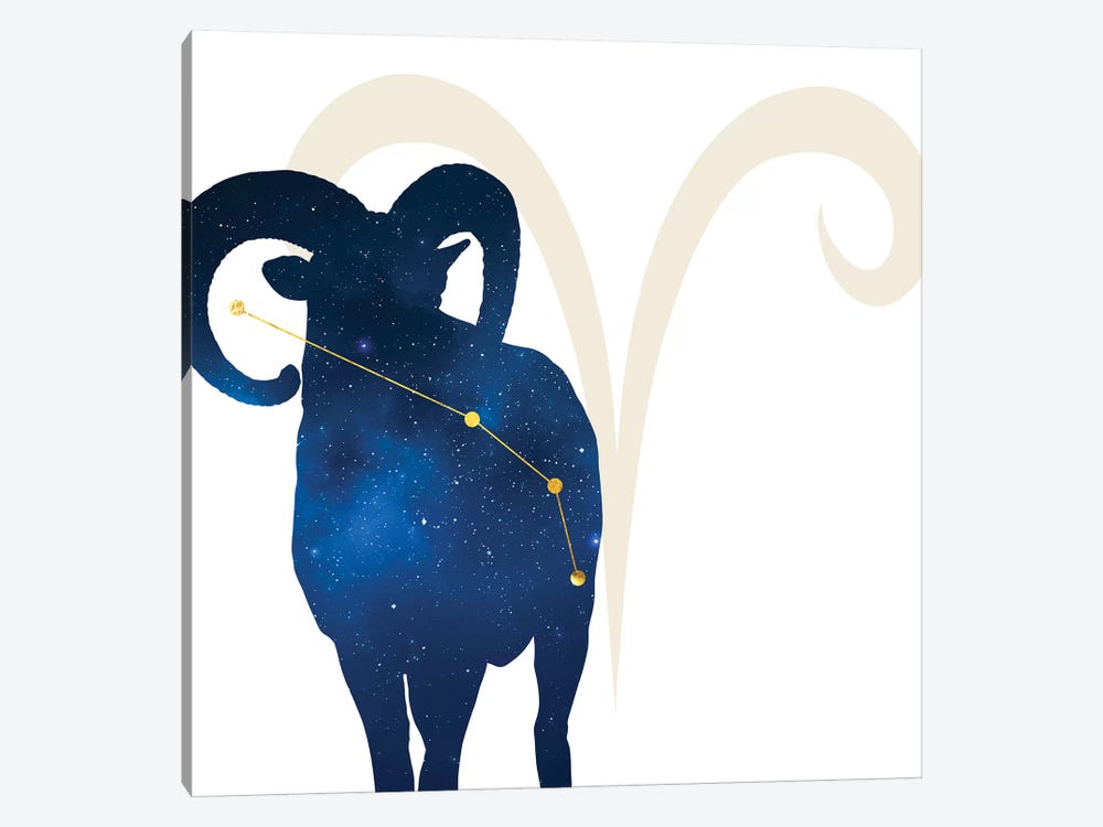 Stars of Aries by 5by5collective 1-piece Canvas Artwork