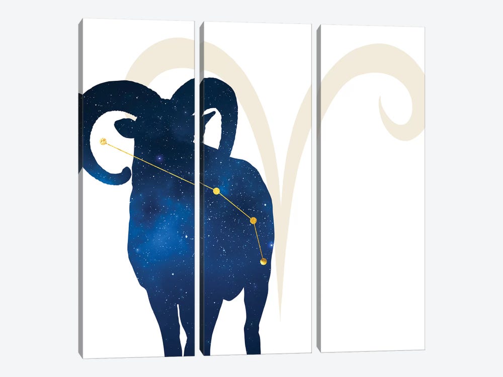 Stars of Aries by 5by5collective 3-piece Canvas Artwork