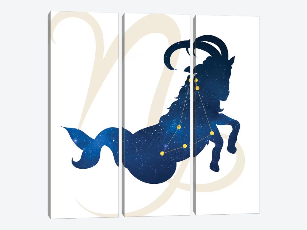 Stars of Capricorn by 5by5collective 3-piece Canvas Artwork