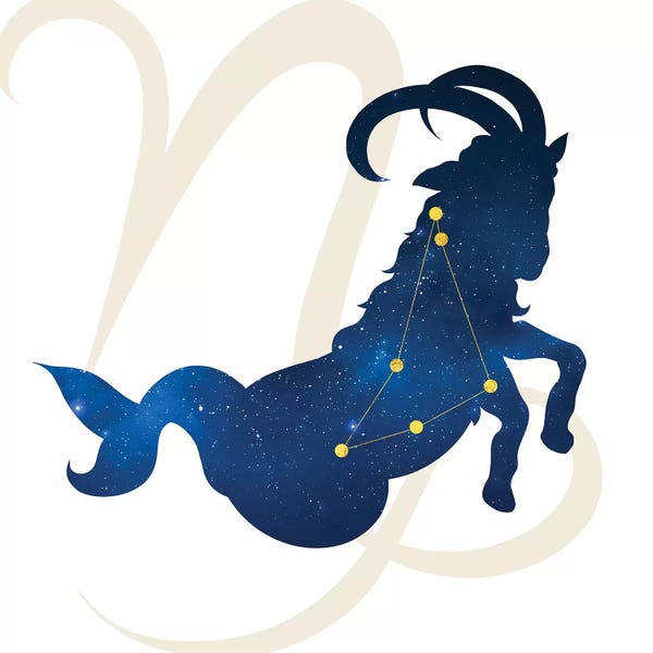 Capricorn: Stars of Capricorn by 5by5collective