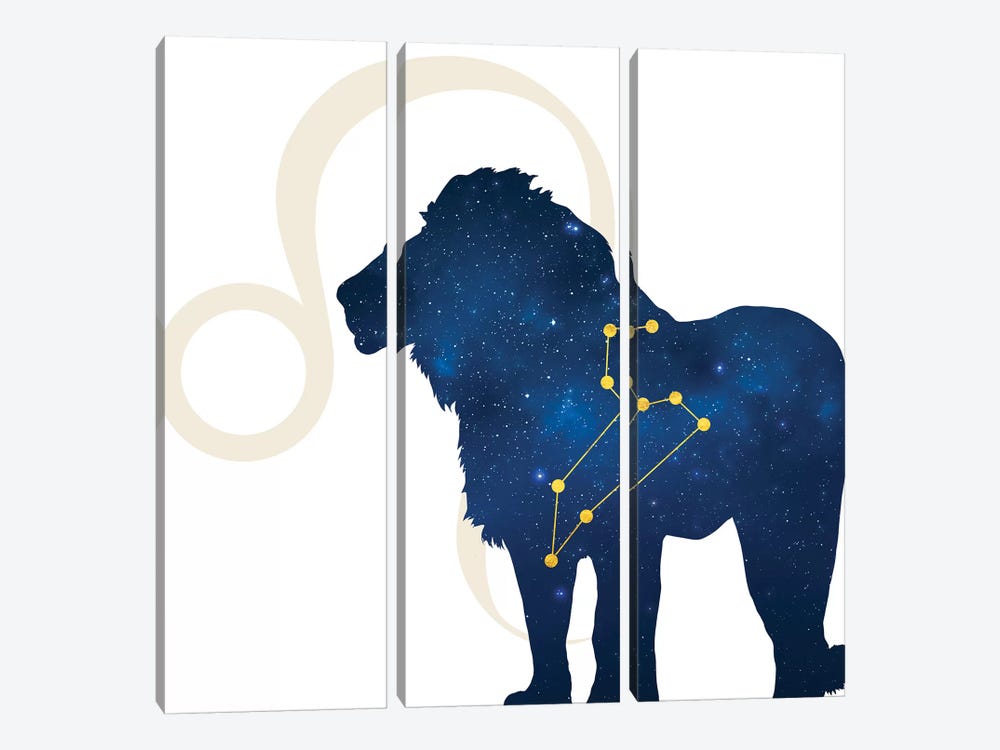Stars of Leo by 5by5collective 3-piece Canvas Wall Art