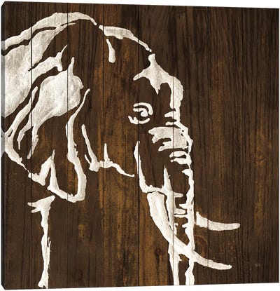 White Elephant on Dark Wood Canvas Art Print - Chris Paschke