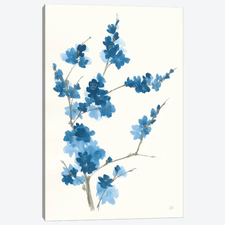 Blue Branch I Canvas Print #CPA112} by Chris Paschke Canvas Wall Art