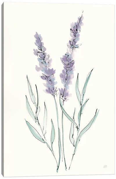 Lavender III Canvas Art Print - Herb Art