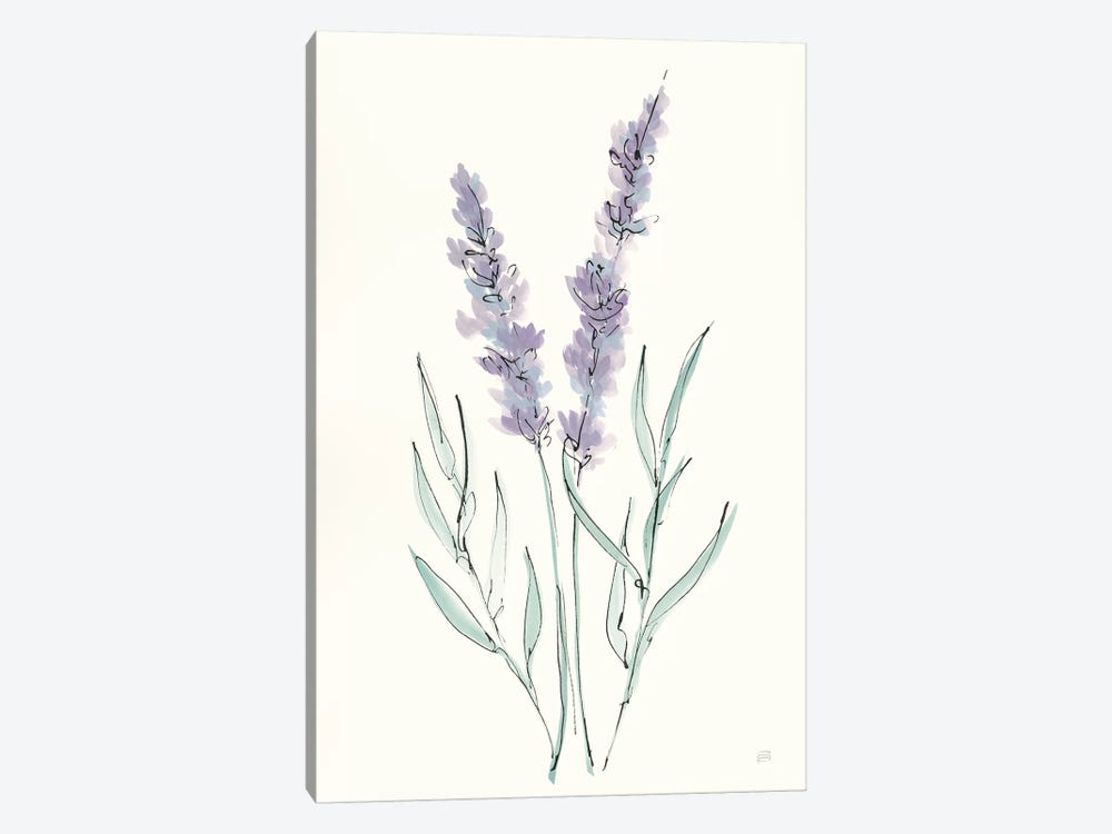Lavender III by Chris Paschke 1-piece Canvas Print