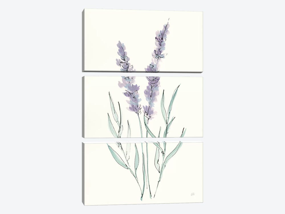 Lavender III by Chris Paschke 3-piece Art Print