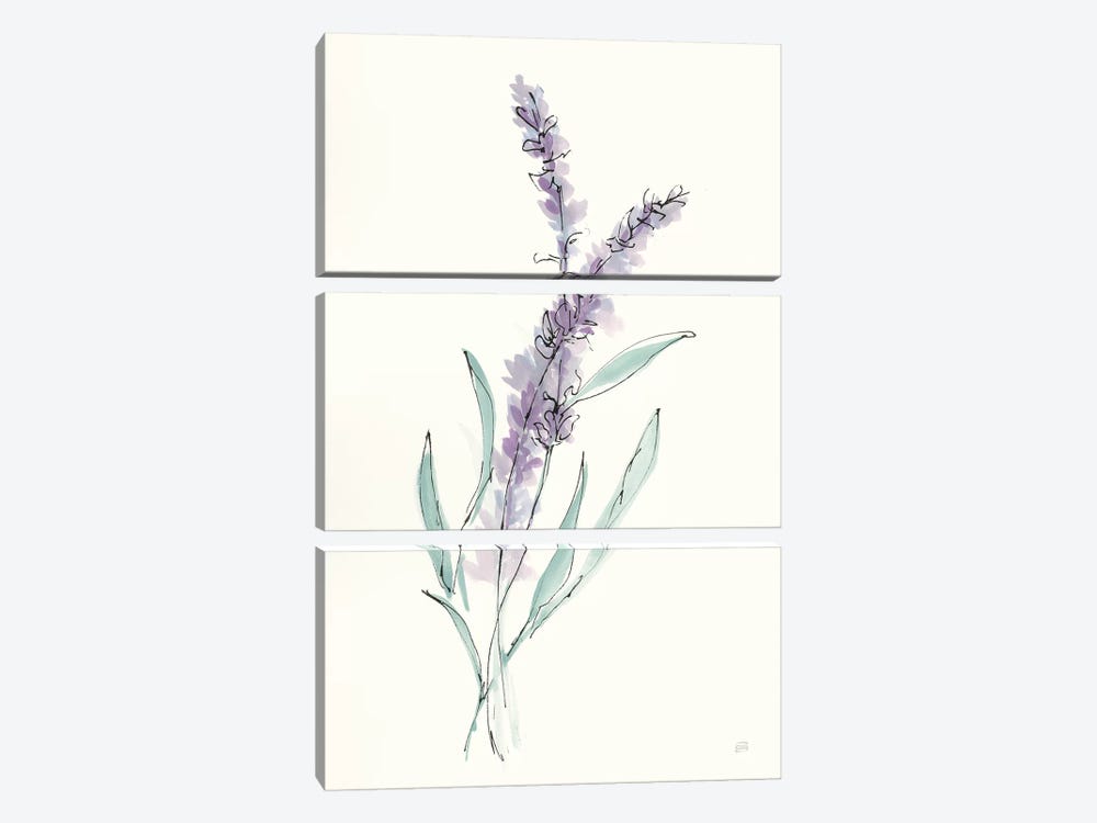 Lavender IV by Chris Paschke 3-piece Canvas Artwork
