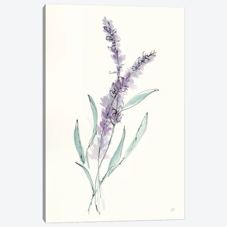 Lavender IV Canvas Print #CPA124} by Chris Paschke Canvas Art