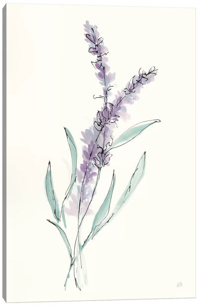 Lavender IV Canvas Art Print - Lavender Art