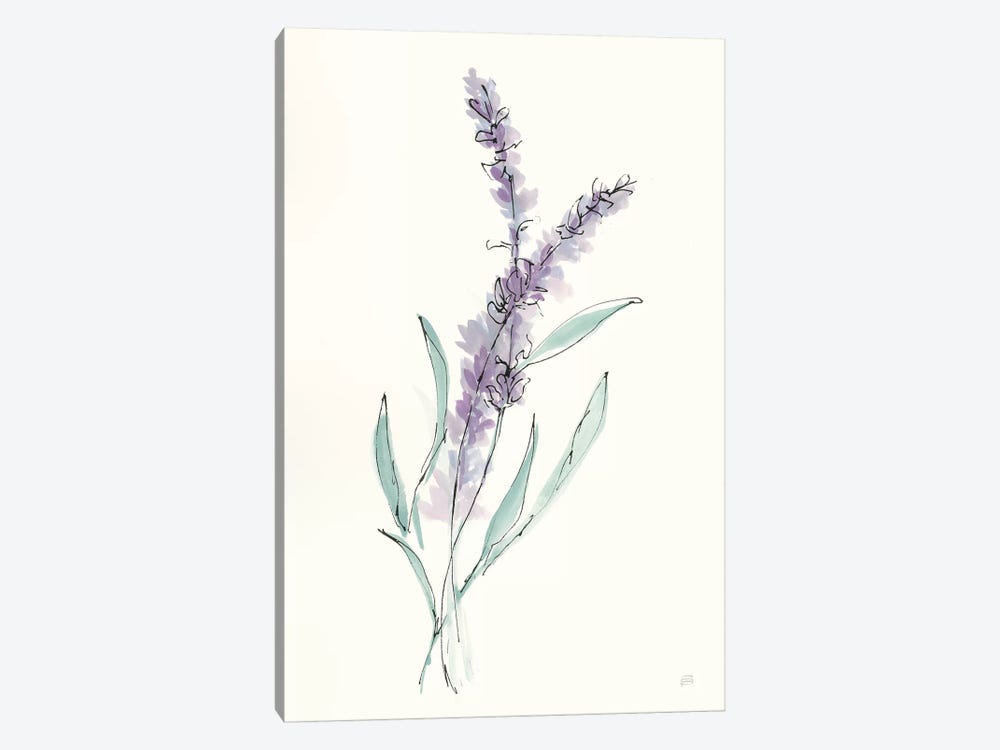 Lavender IV by Chris Paschke 1-piece Canvas Art