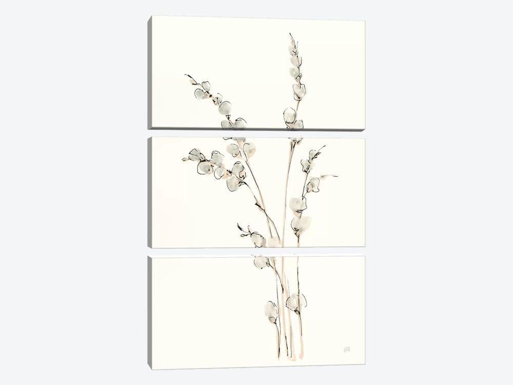 Pussy Willows IV 3-piece Canvas Art Print