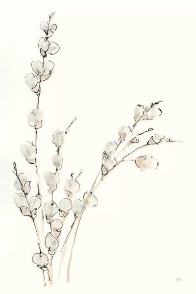 Modern Farmhouse Bedroom: Pussy Willows V by Chris Paschke