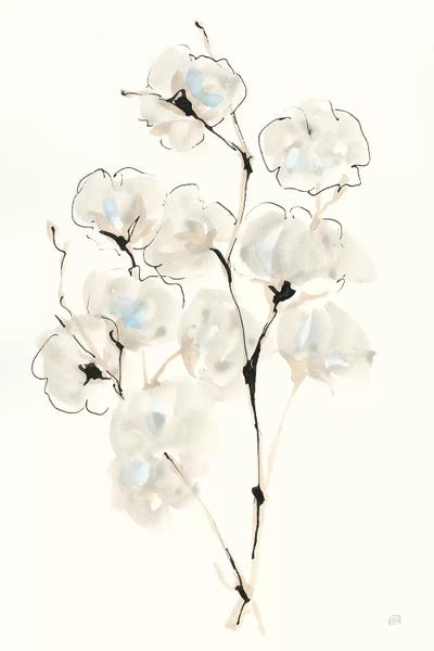 Summer Cotton IV by Chris Paschke framed wall art