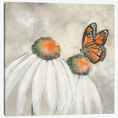 Butterflies are Free II Canvas Print #CPA13} by Chris Paschke Canvas Artwork