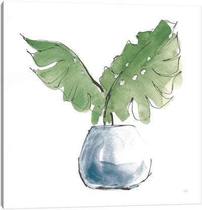 Plant Big Leaf II Dark Green Canvas Art Print - Chris Paschke