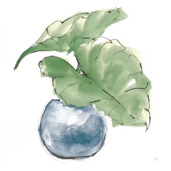 Chris Paschke: Plant Big Leaf III Dark Green by Chris Paschke