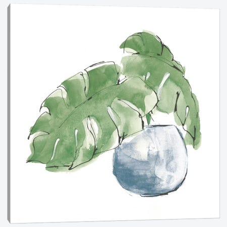 Plant Big Leaf IV Dark Green Canvas Print #CPA175} by Chris Paschke Canvas Art Print